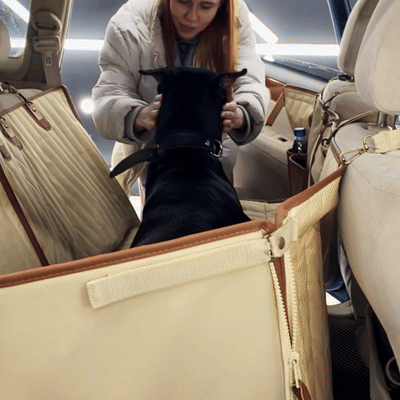 sturdy-car-dog-hammock-with-side-flaps-4